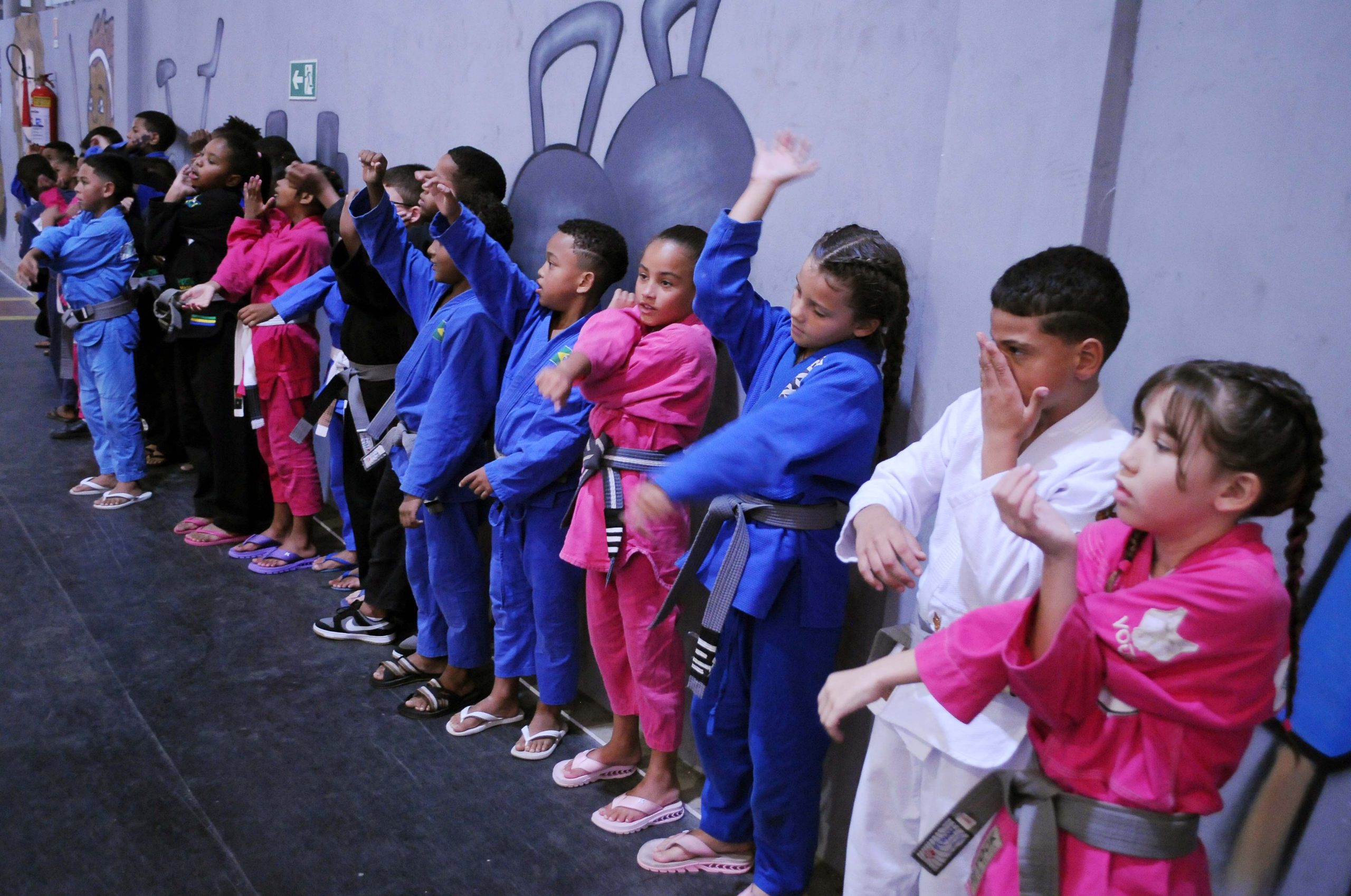 Competição de Jiu-jitsu do Circuito Imperial de Lutas aconteceu neste domingo