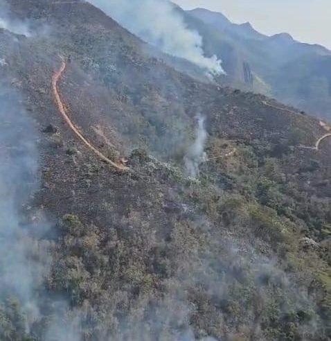 Corpo de Bombeiros RJ extinguiu mais de 330 incêndios florestais nas últimas 24 horas