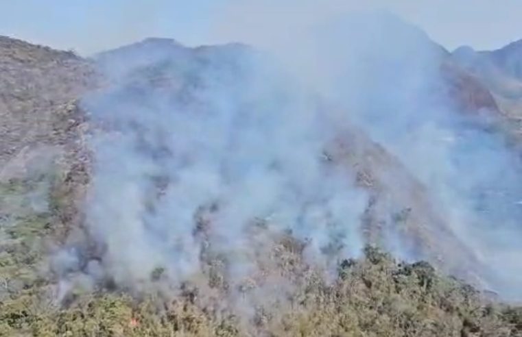 MPRJ instaura procedimento para apurar condições de prevenção e combate a incêndios florestais em Petrópolis