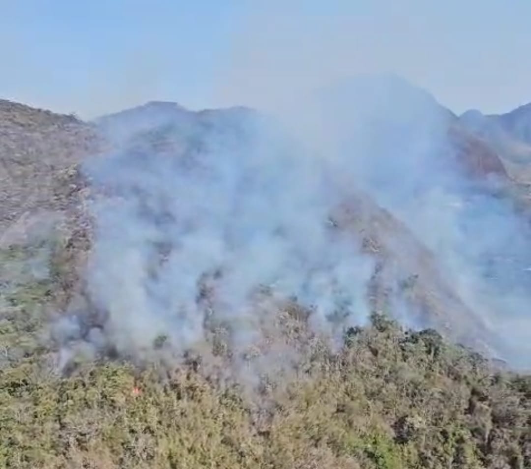 MPRJ instaura procedimento para apurar condições de prevenção e combate a incêndios florestais em Petrópolis