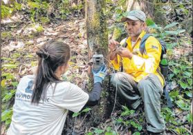 Inea usa armadilhas fotográficas para monitoramento de fauna nos parques