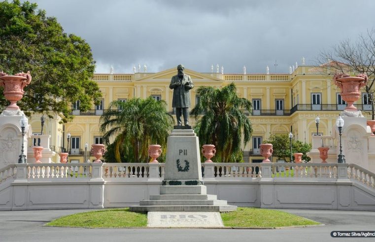 Seis anos após incêndio, Museu Nacional faz apelo por doações