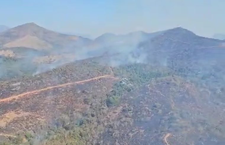 Combate às queimadas: Secretaria do Ambiente convoca população a denunciar