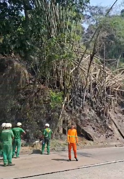 Subida da serra de Petrópolis apresenta trânsito lento devido a corte de árvore