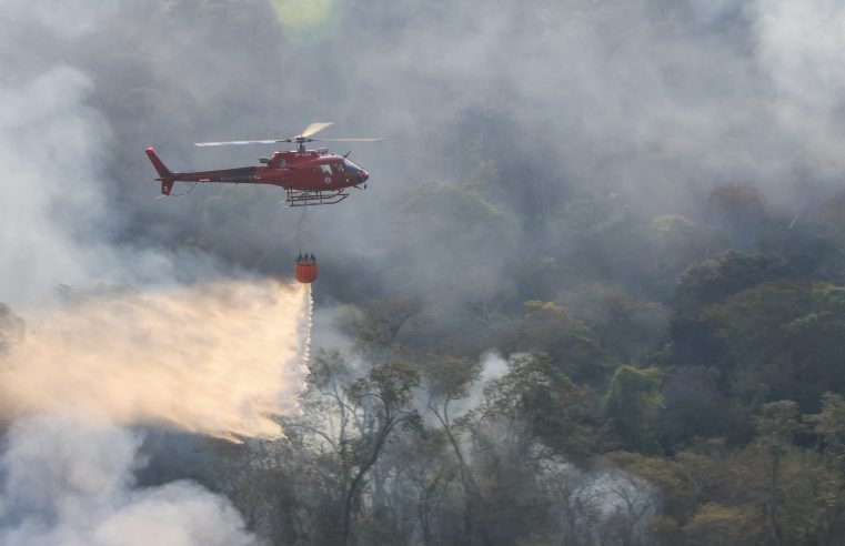 Corpo de Bombeiros RJ extinguiu mais de 1 mil incêndios florestais desde a criação do Gabinete de Crise