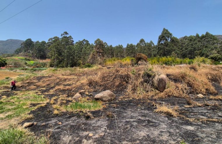Adolescente admite ser responsável por incêndio criminoso em Pedro do Rio e Secretário