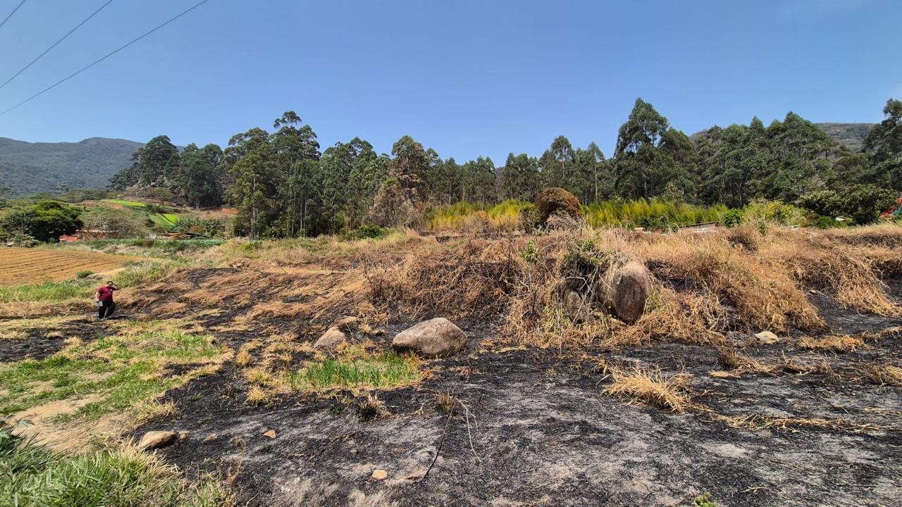 Adolescente admite ser responsável por incêndio criminoso em Pedro do Rio e Secretário