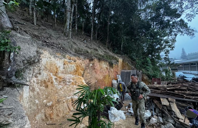 Homem é preso acusado de desmatamento no Quitandinha