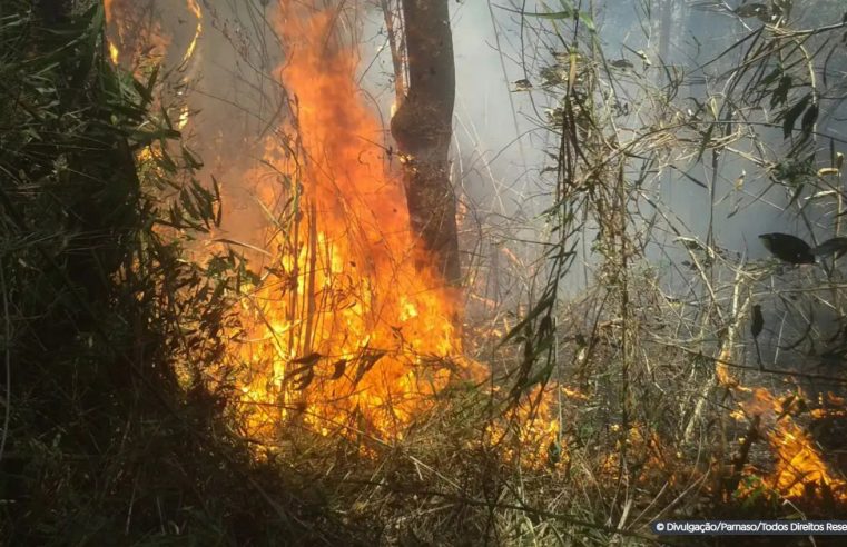“Certamente alguém pôs fogo”, diz chefe do Parque da Serra dos Órgãos