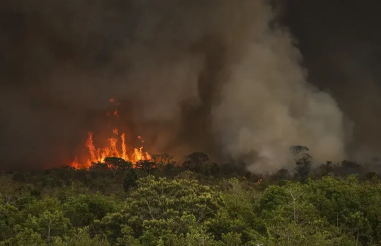 Incêndios podem ter afetado mais de 11 milhões de pessoas no Brasil