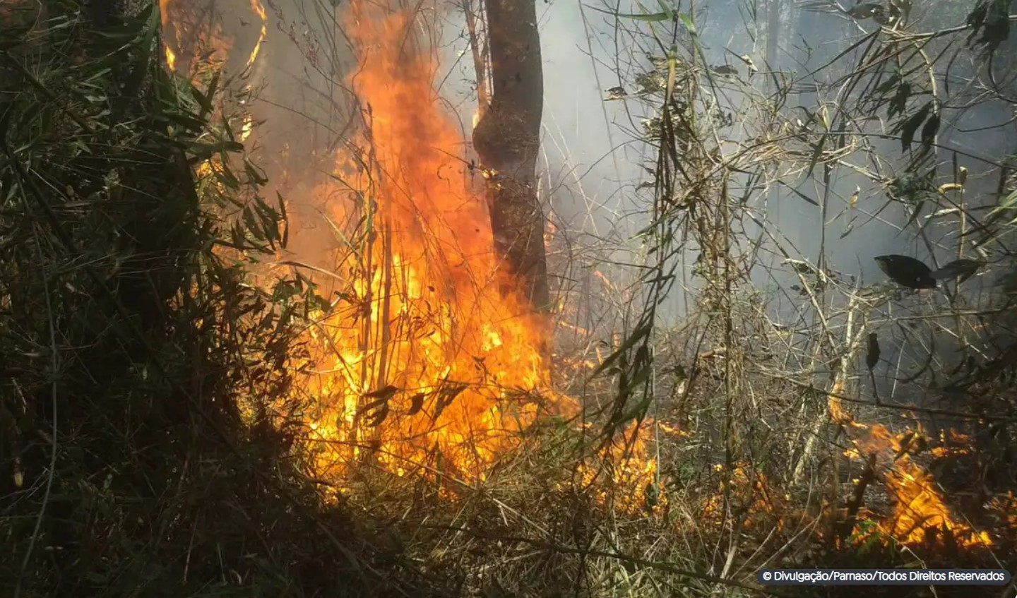 “Certamente alguém pôs fogo”, diz chefe do Parque da Serra dos Órgãos