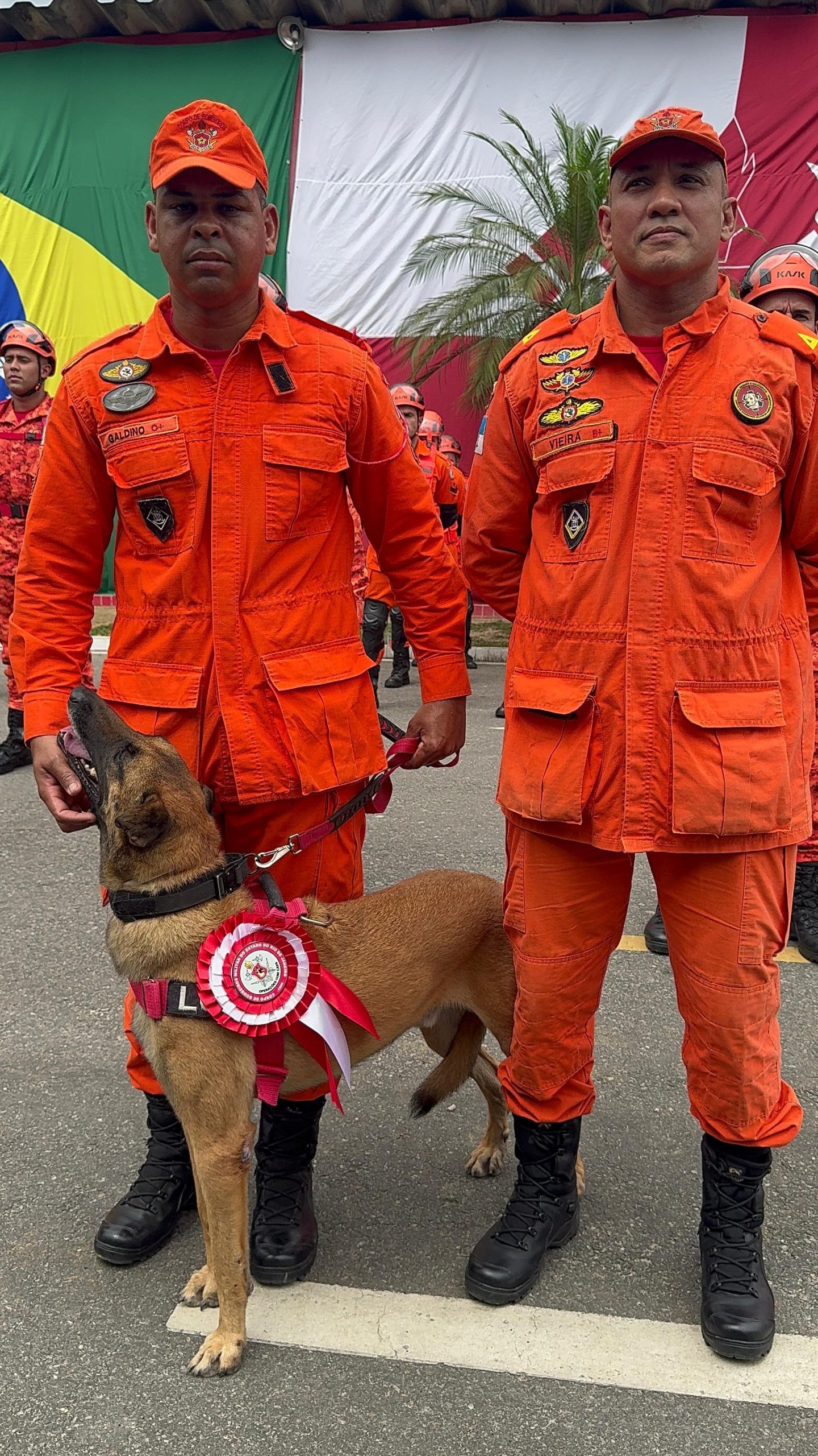 Corpo de Bombeiros RJ forma novos condutores de cães de busca e resgate