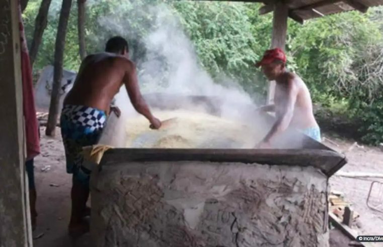 Conflito pela terra é causa de um terço das mortes de quilombolas