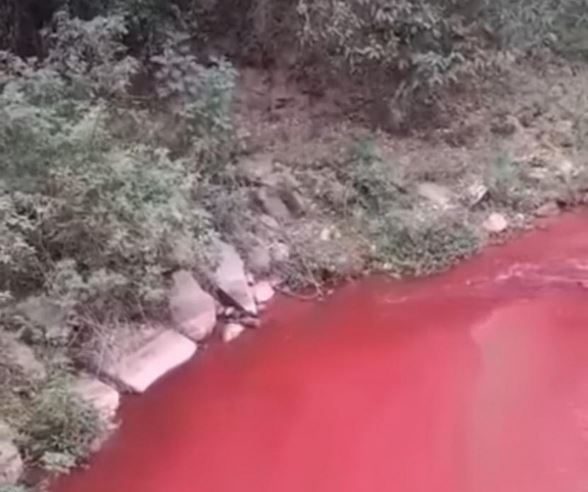 MPRJ investiga poluição de rio em Nova Friburgo