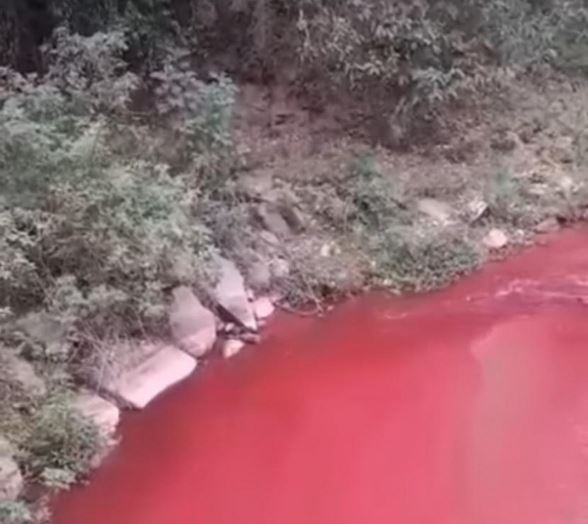 MPRJ investiga poluição de rio em Nova Friburgo