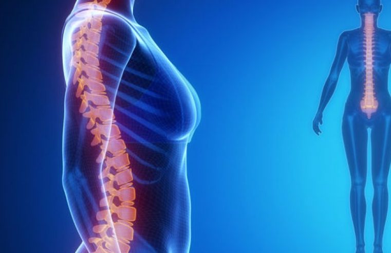 Câmara Municipal aprova criação do “Dia de Conscientização para a Prevenção da Lesão Medular”