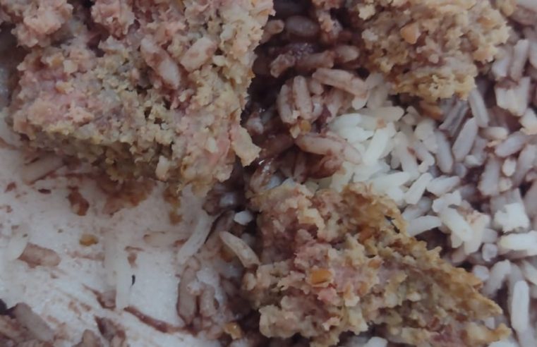 Vereadora denuncia má qualidade da comida distribuída à funcionários da saúde