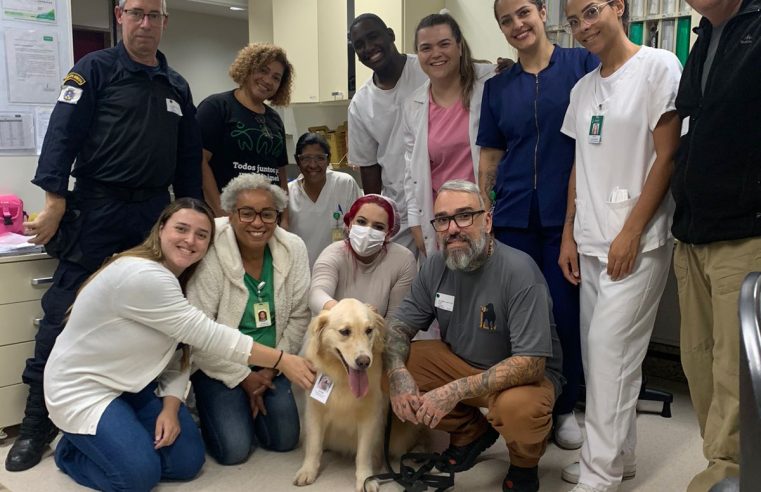 Crianças internadas recebem visita especial da Cão Terapêutica Jujuba da Guarda Civil de Petrópolis