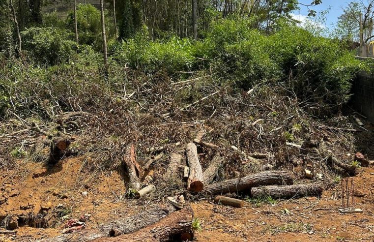 UPAm Três Picos identifica construção irregular e corte de árvores em Nova Friburgo
