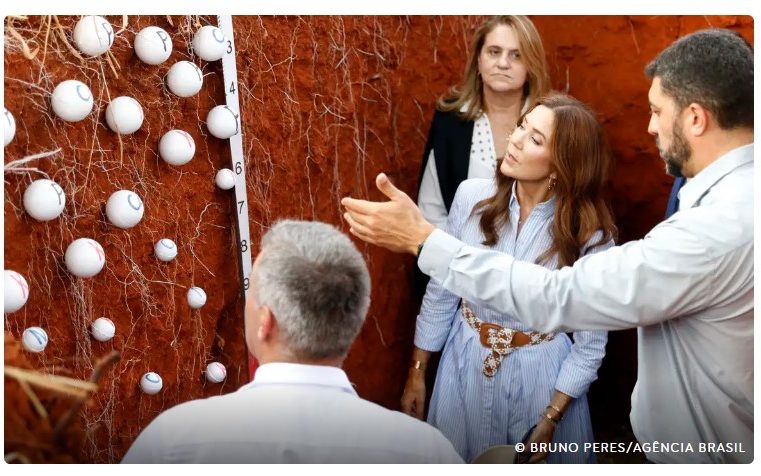 Brasil e Dinamarca buscam intensificar parcerias em sustentabilidade