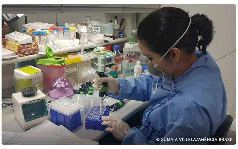 Brasil elimina elefantíase como problema de saúde pública