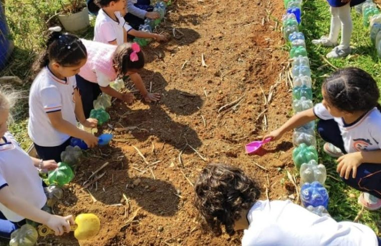 Fiocruz Petrópolis lança cartilha ‘Hortas nas Escolas’ como parte de iniciativa de soberania alimentar
