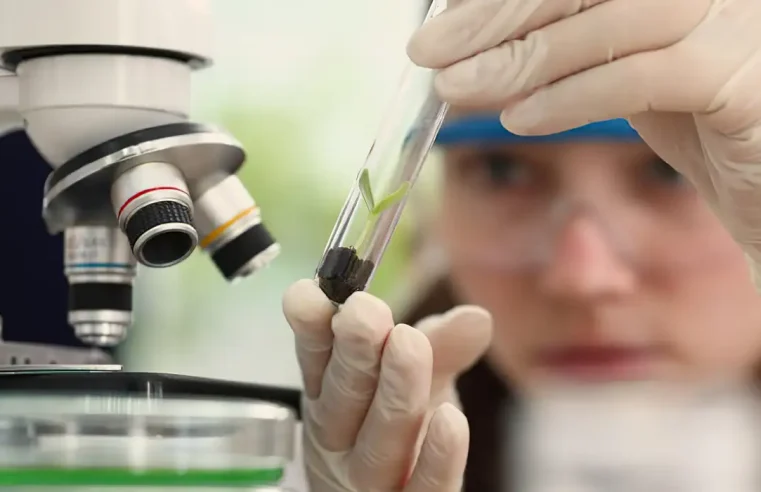 SBPC prorroga inscrição de alunas e universitárias em prêmio