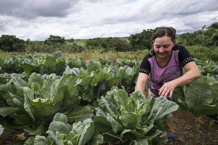 31º encontro Mulher Rural de Nova Friburgo