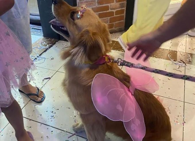 Desfile de fantasias vai premiar a melhor dupla pets e seus donos no Halloween do Shopping Vilarejo