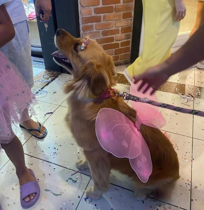 Desfile de fantasias vai premiar a melhor dupla pets e seus donos no Halloween do Shopping Vilarejo