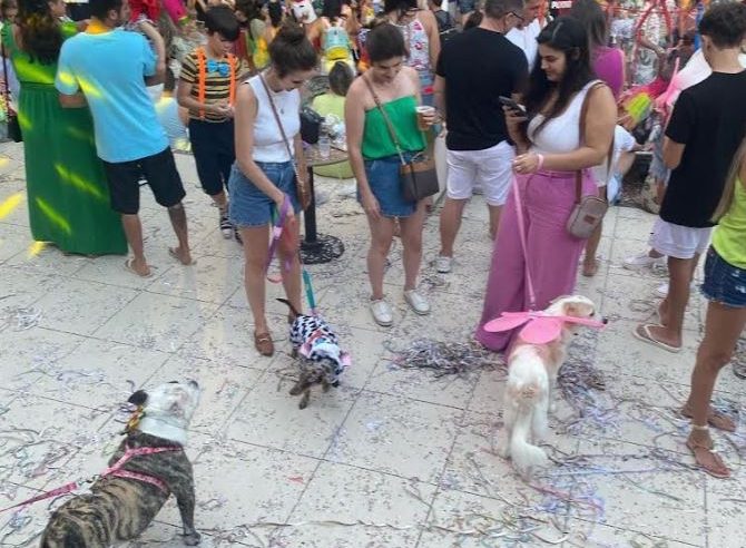 Dia de São Francisco: o amor pelos animais e a popularização dos espaços pet friendly