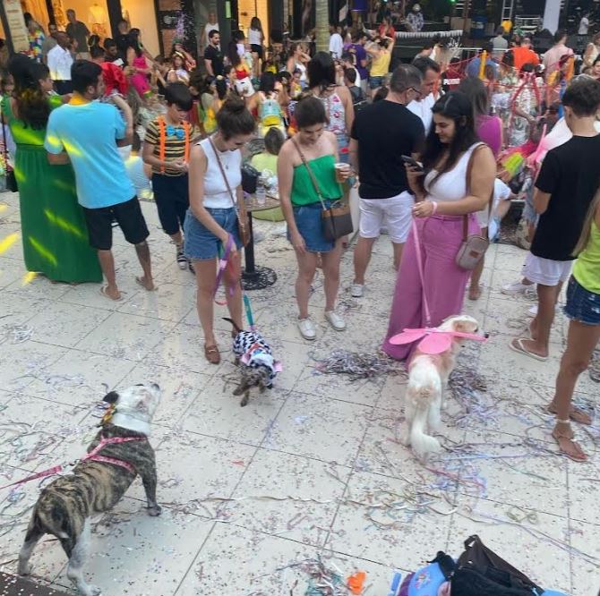 Dia de São Francisco: o amor pelos animais e a popularização dos espaços pet friendly
