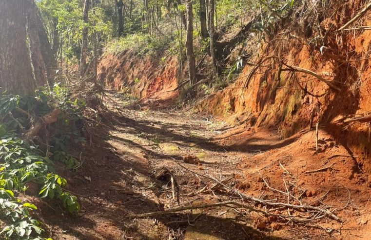 UPAm Três Picos flagra construção irregular e desmatamento na Posse, em Petrópolis 