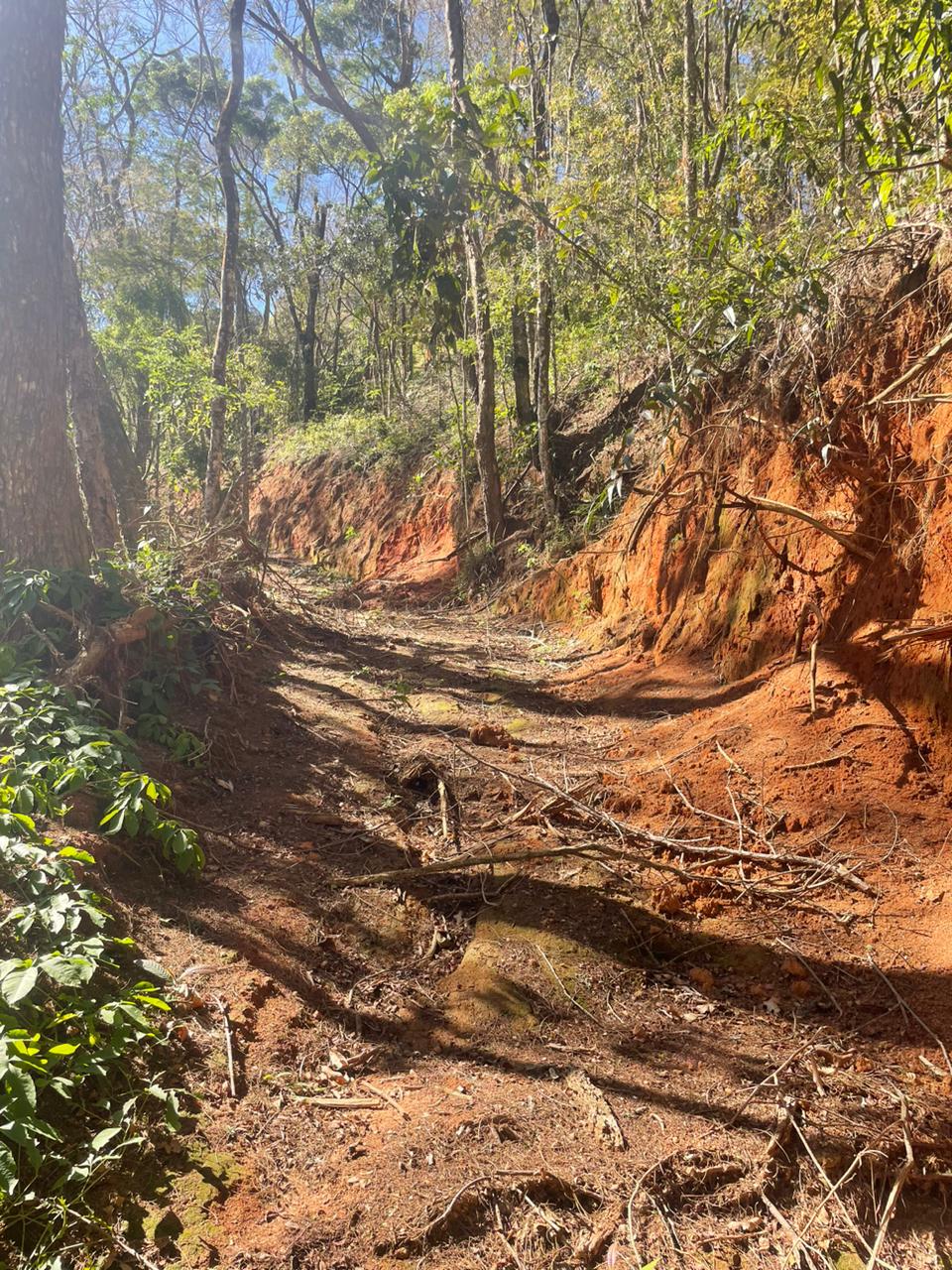 UPAm Três Picos flagra construção irregular e desmatamento na Posse, em Petrópolis