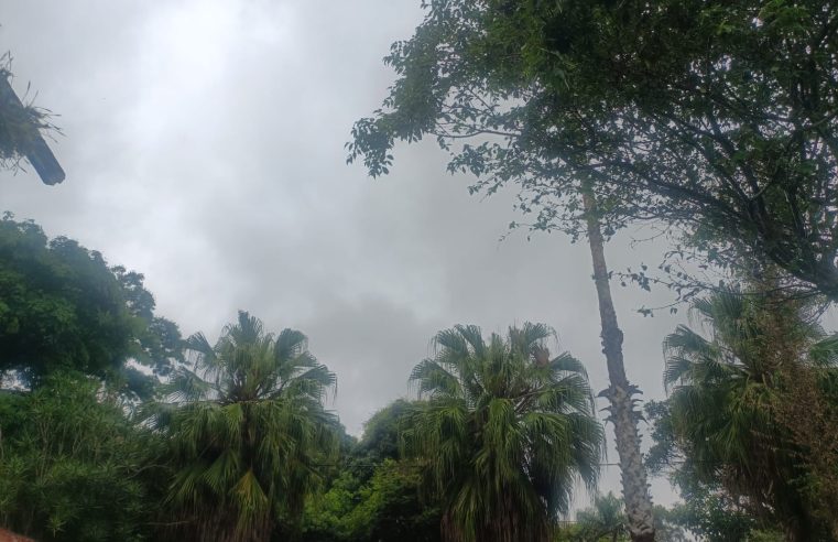 Defesa Civil emite SMS da previsão de chuva moderada em Petrópolis