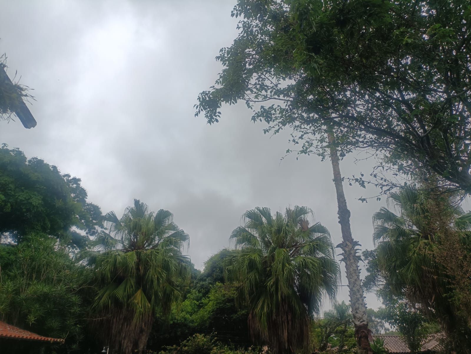 Defesa Civil emite SMS da previsão de chuva moderada em Petrópolis