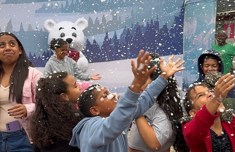 Campanha de Natal no Vale Encantado arrecada mais de 500 brinquedos e promove alegria para crianças do Instituto Ampla Visão