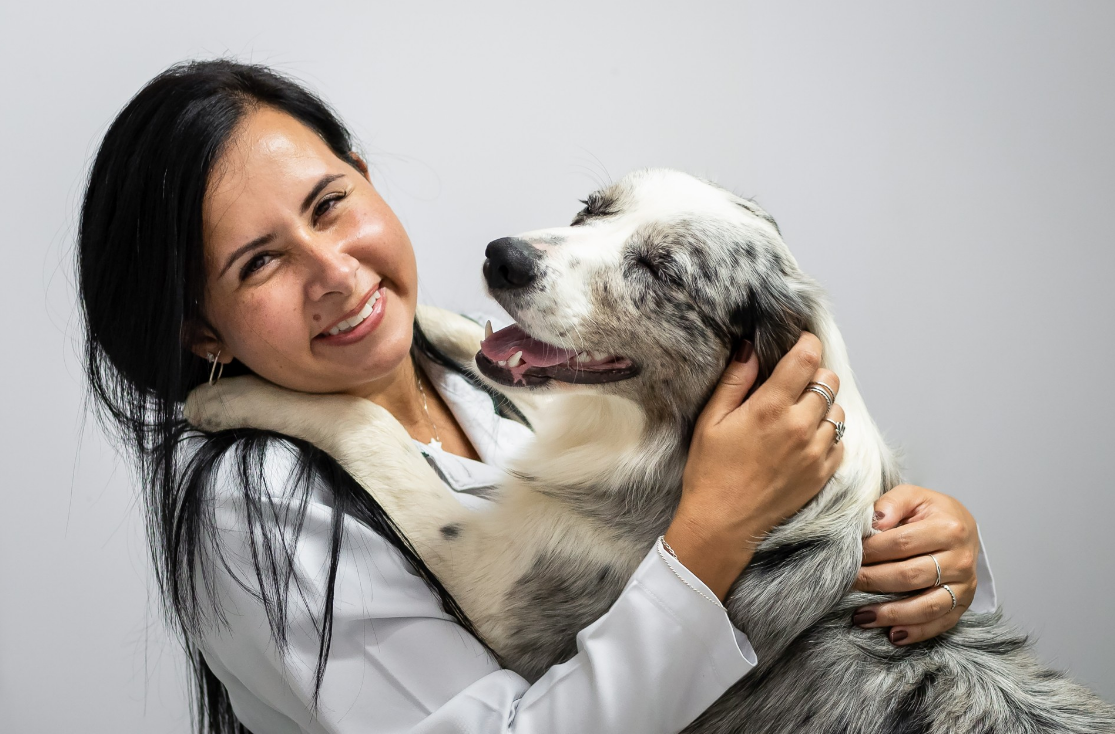 Pets: Comidas e barulhos típicos de dezembro podem causar risco aos animais