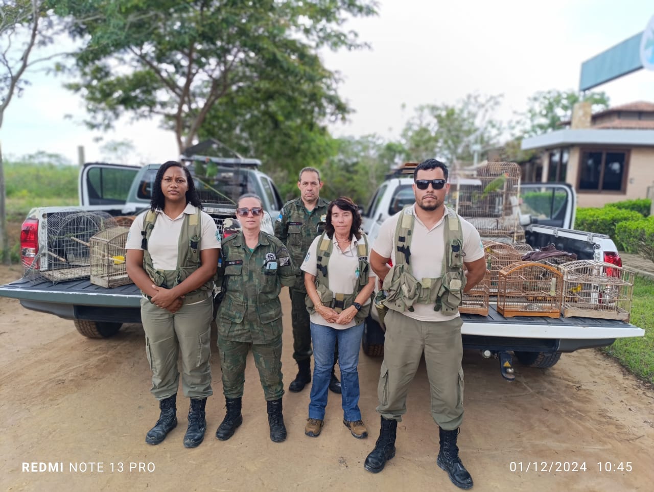Repressão ao tráfico de animais silvestres: Estado resgata 244 espécies em cativeiros
