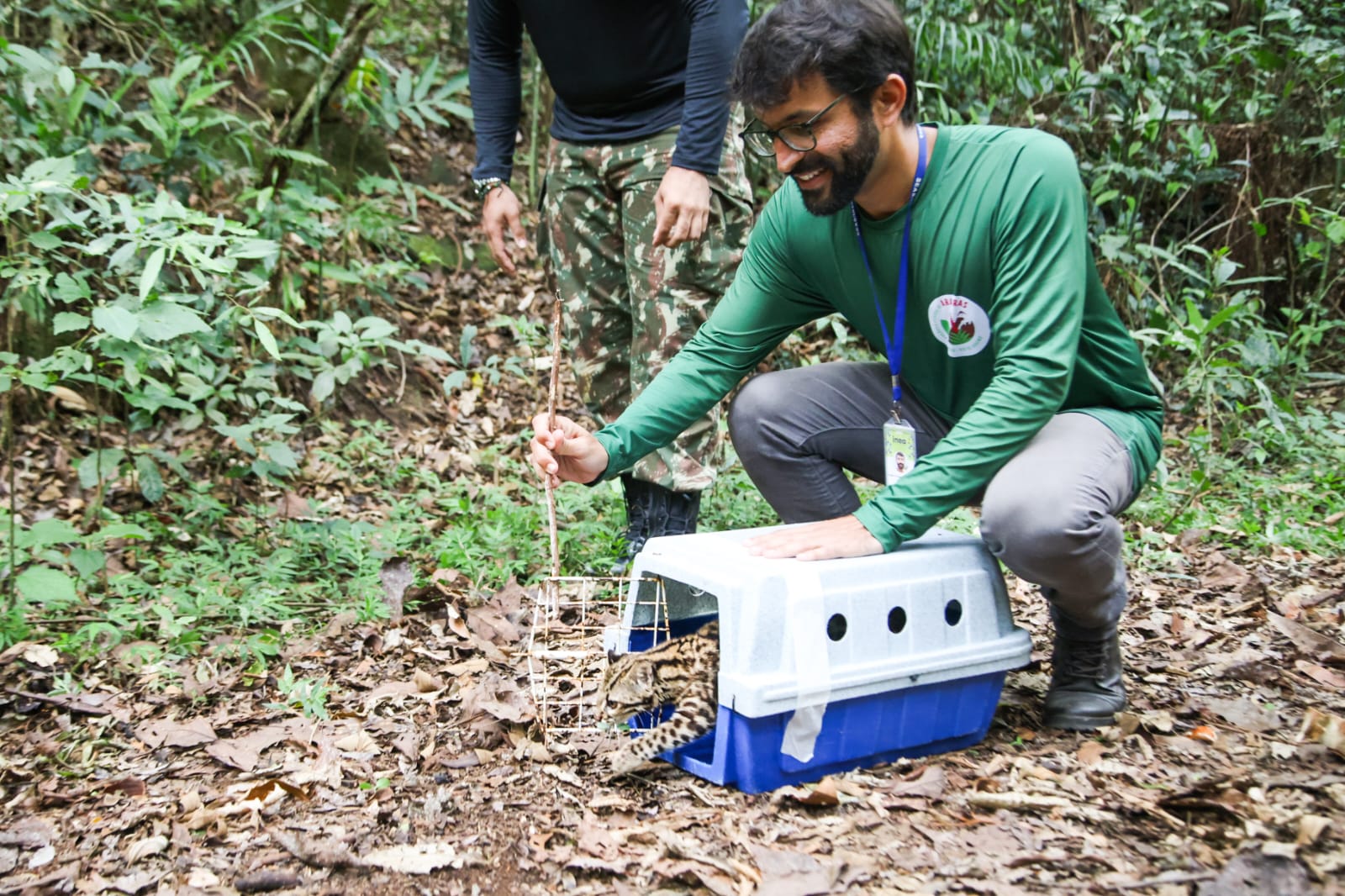 Inea devolve “Gato do Mato” ameaçado de extinção ao habitat natural