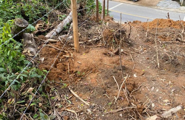 UPAm Três Picos identifica indícios de desmatamento em Nova Friburgo