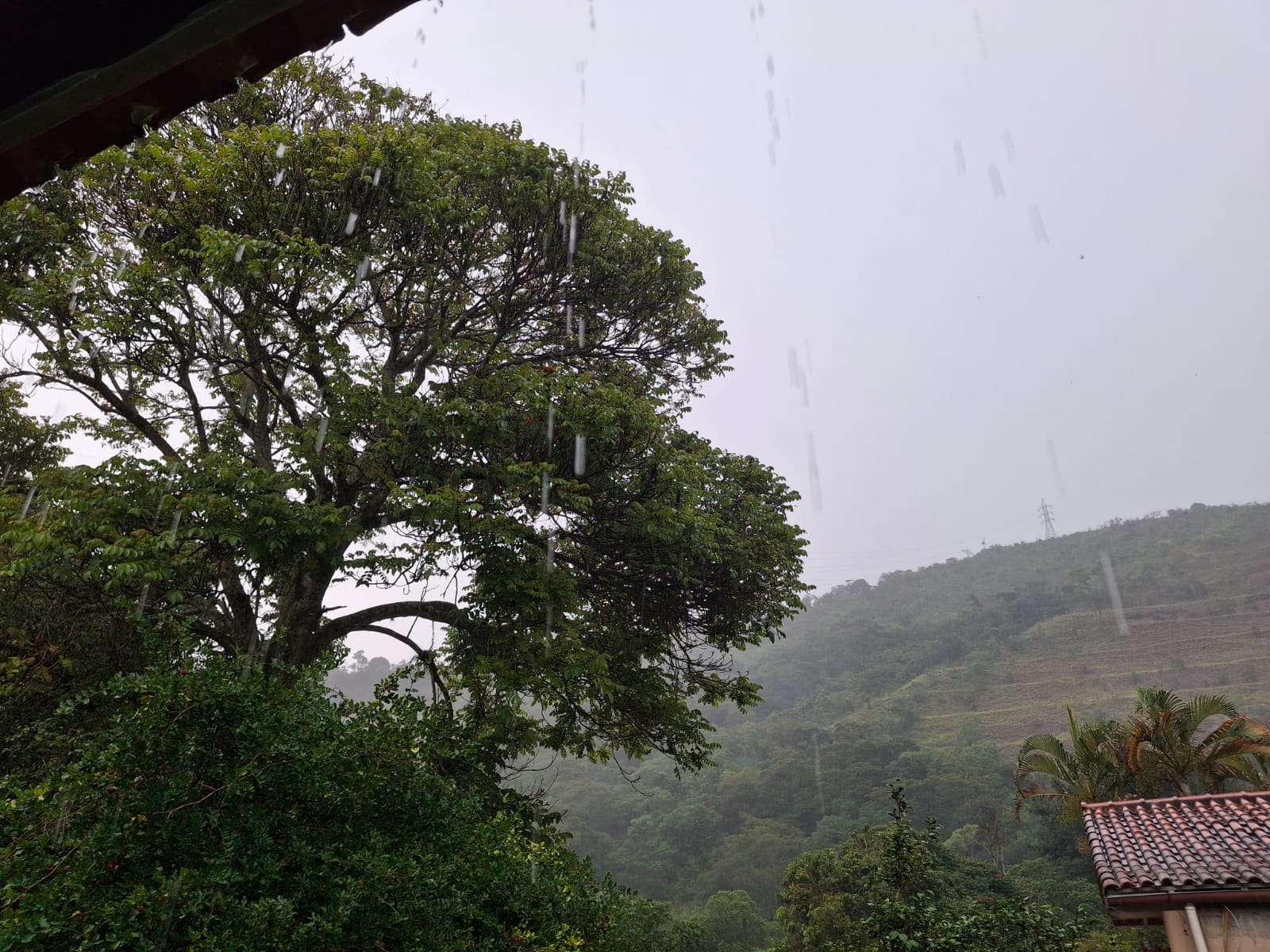 Defesa Civil abre pontos de apoio no região do Bingen