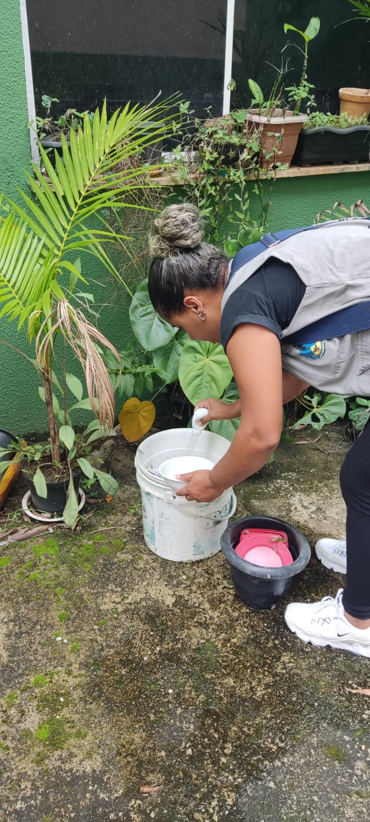Prefeitura de Petrópolis intensifica ações de combate ao mosquito transmissor da dengue