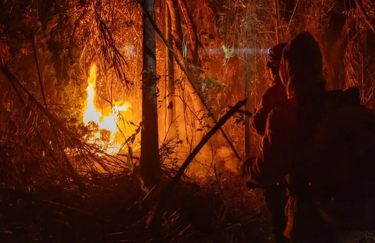 Brasil registra em 2024 aumento de 79% de áreas queimadas