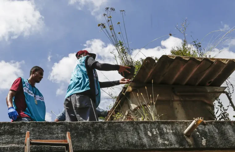 Saúde reforça monitoramento e ações de controle da dengue em 4 estados