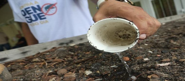 Governo do Estado reforça ações de prevenção à dengue nas nove regiões do RJ