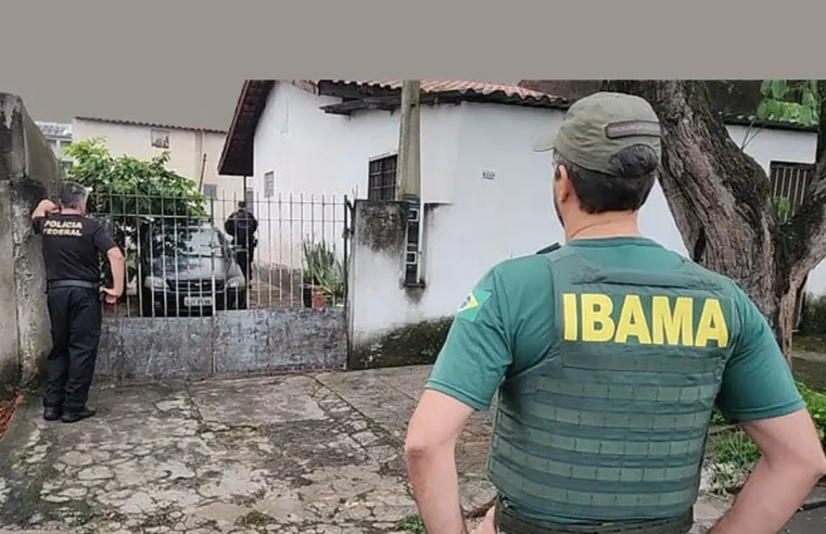 Operação da PF e Ibama apreende 33 animais em posse de traficantes