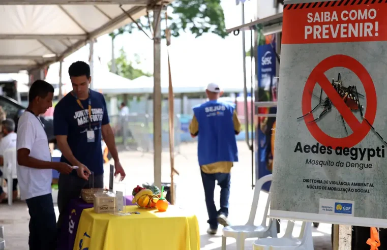 Casos de dengue no Brasil caem 60% nas primeiras semanas do ano