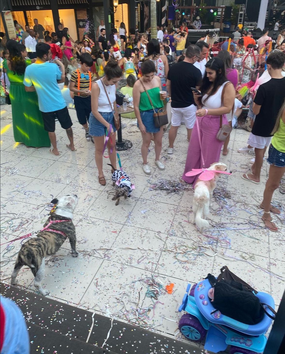Carnaval AuAu: desfile de pets promete encantar foliões no Shopping Vilarejo