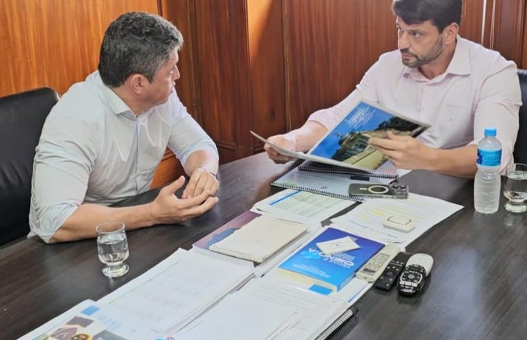 Estado e Prefeitura organizam força tarefa para cuidados com árvores em Petrópolis